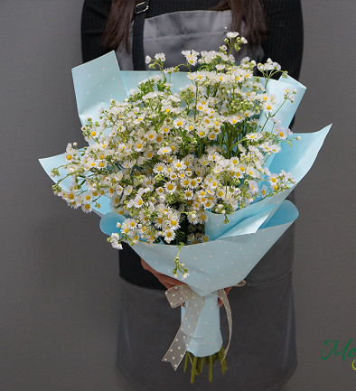 Bouquet of baby's breath in light blue paper photo 394x433